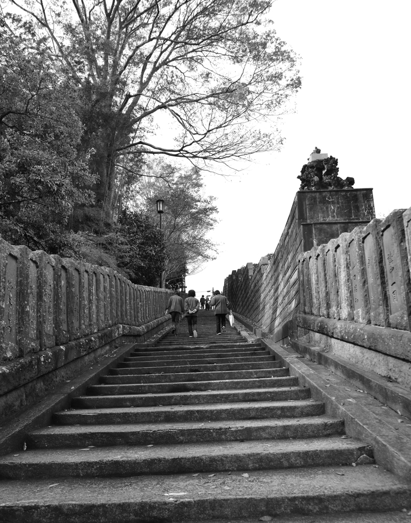 DSC_0237_00028