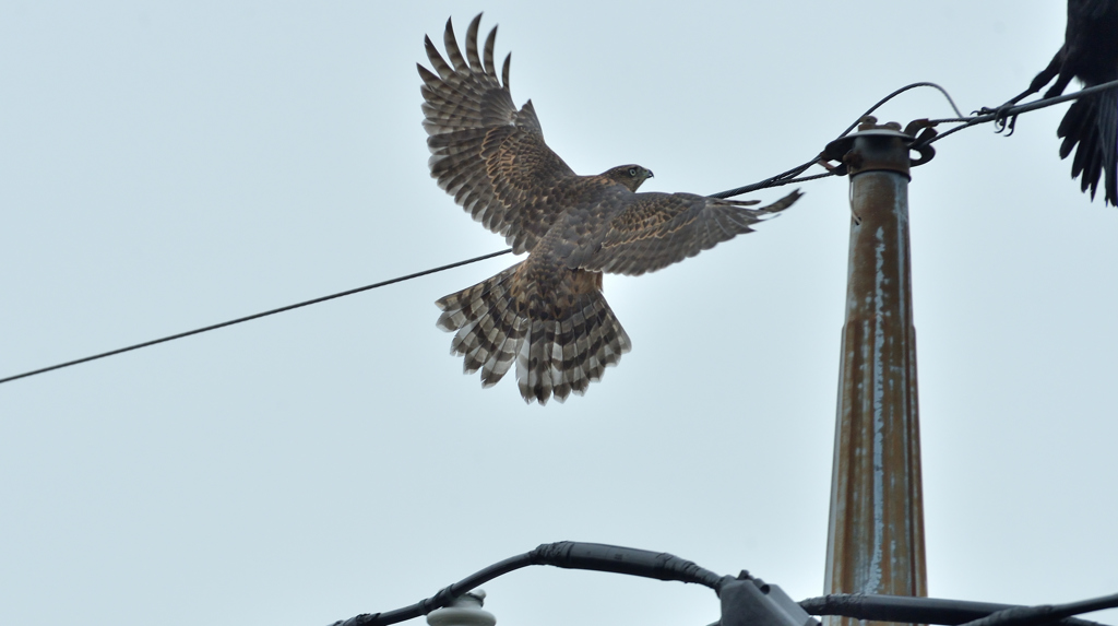 DSC_9399_00047