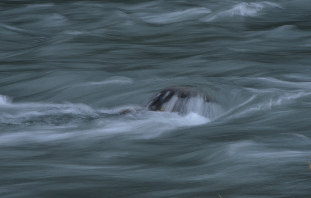 DSC_0167_00005