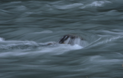 DSC_0167_00005