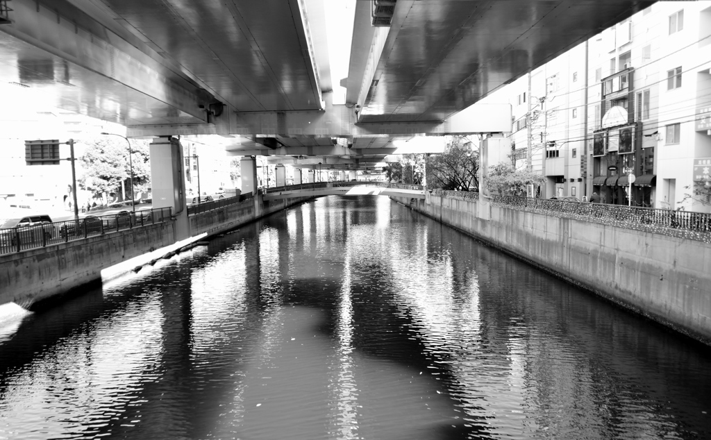 DSC_0018_00007