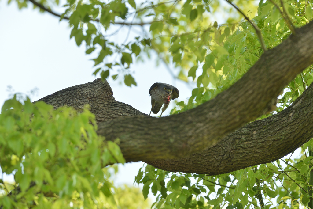 DSC_6962_00038