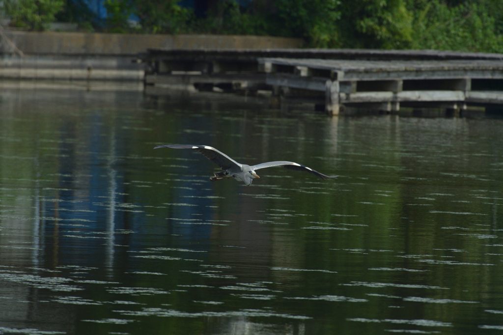 DSC_0840_00016