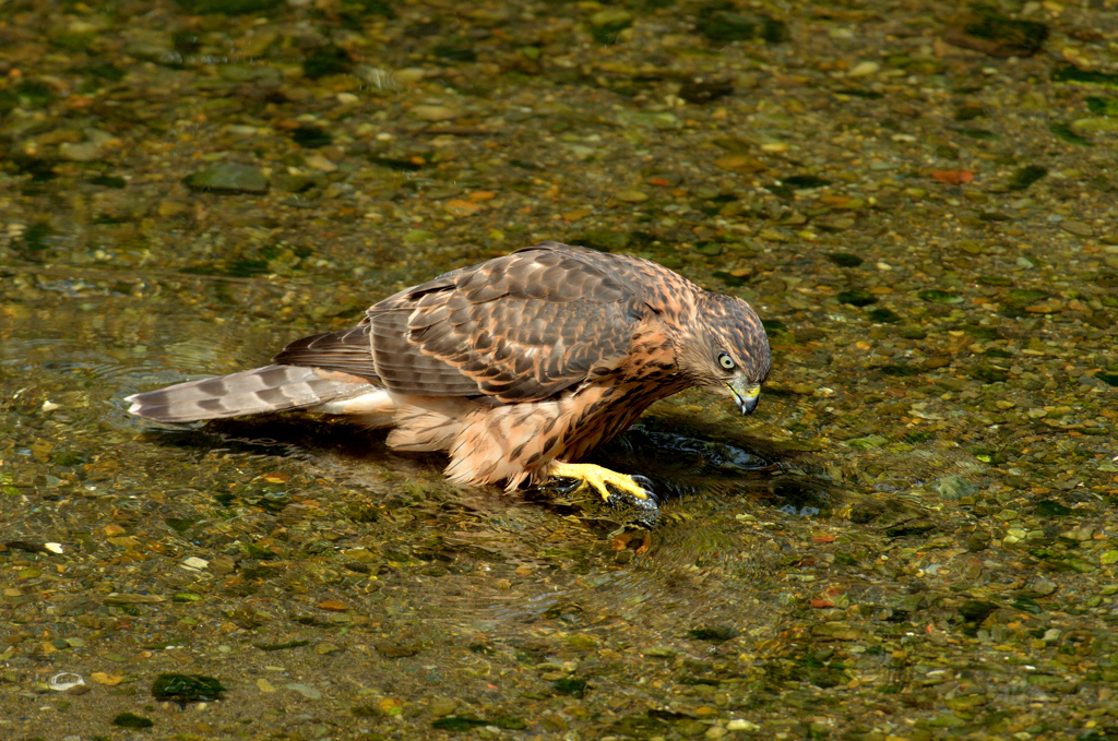 DSC_0843_00020