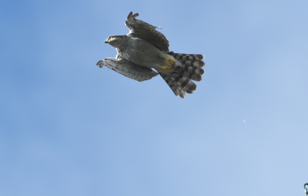 DSC_4580_00039