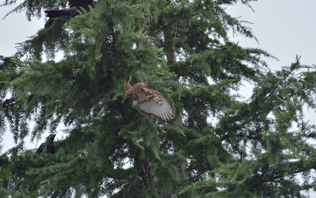 DSC_8439_00030