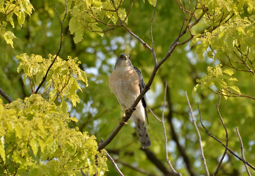 DSC_5065_00015
