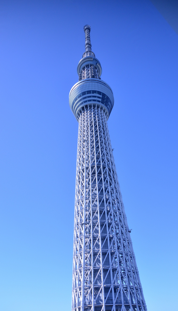 DSC_0052_00002