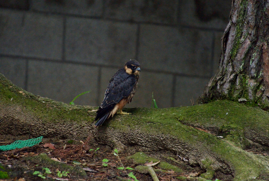 DSC_0022_00003
