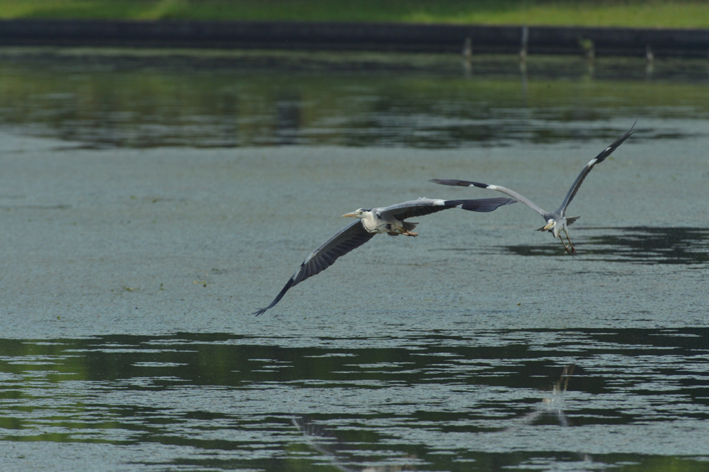 DSC_0832_00014