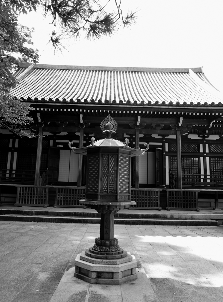 DSC_0152_00011