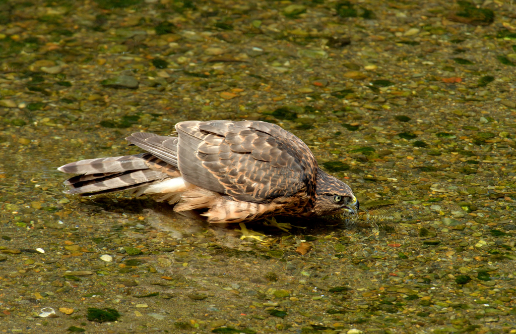 DSC_0875_00022