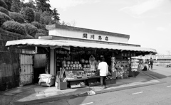 DSC_0291_00032