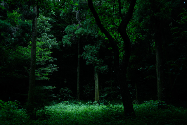 神社の奥で