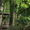 井戸