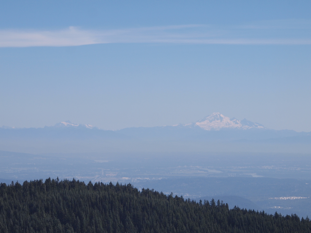 B.C.
