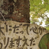 ありますえだ
