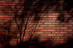 打込みタイル壁