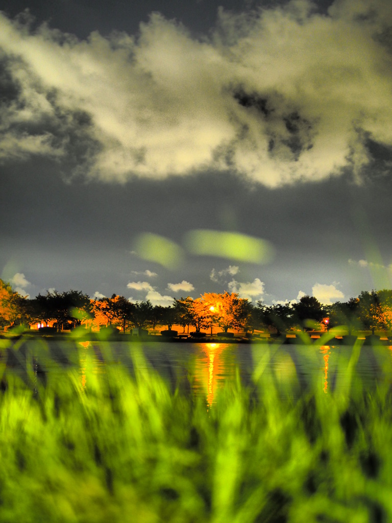 夜の公園