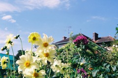 FH010029