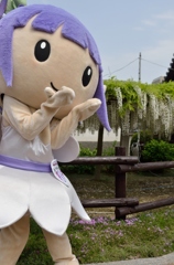 石井町藤まつり