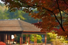 栗林公園の紅葉
