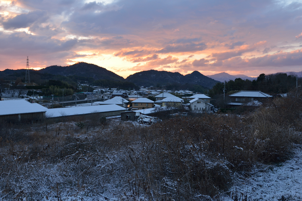 目覚めれば雪化粧