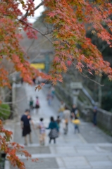 金毘羅さんの紅葉