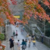 金毘羅さんの紅葉