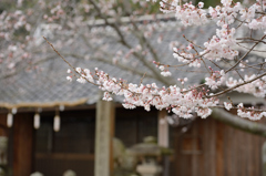 D800＆70-200 F2.8