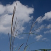 秋の空
