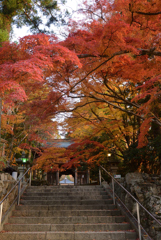 大窪寺