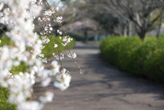 仏生山公園
