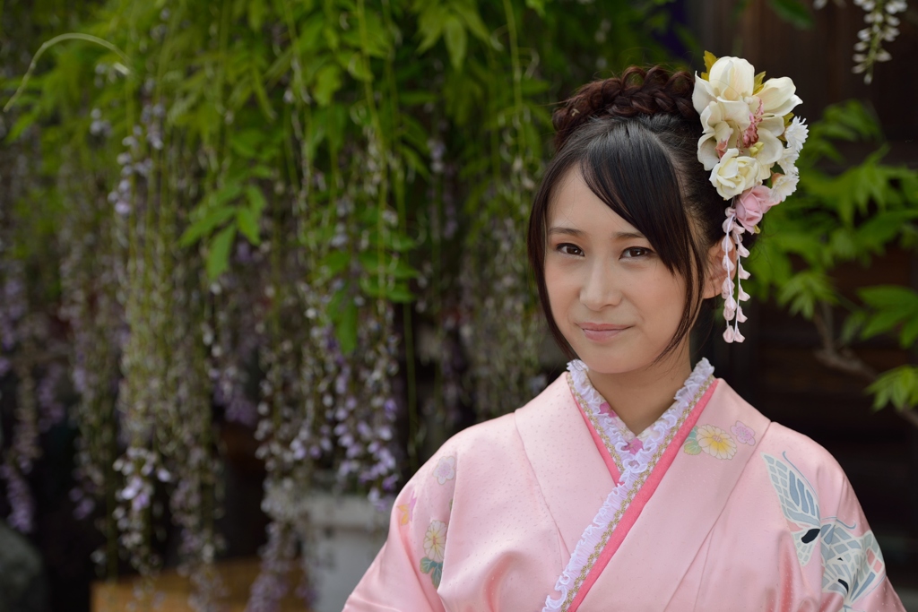 石井町藤まつり