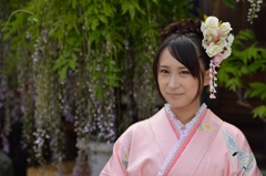 石井町藤まつり