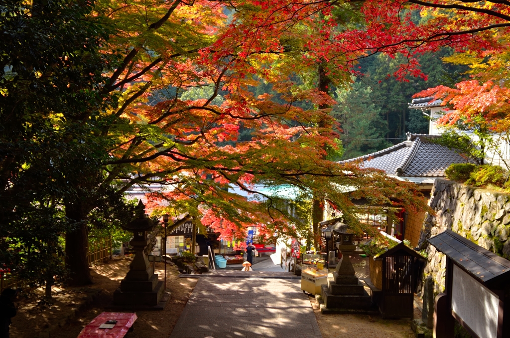 紅葉