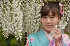 石井町藤まつり