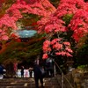 紅葉
