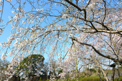 仏生山公園