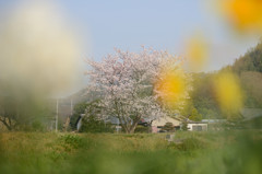 週末は雨か・・・