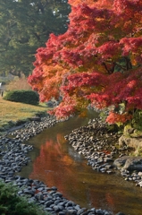 栗林公園の紅葉
