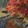 栗林公園の紅葉