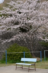 静かな公園