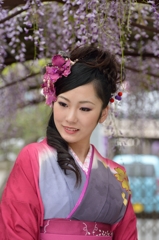 藤まつり