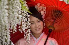 石井町藤まつり