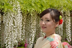石井町藤まつり