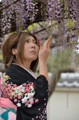 藤まつり