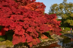 栗林公園の紅葉