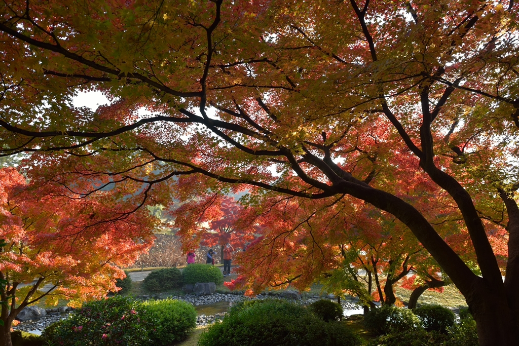 栗林公園の紅葉