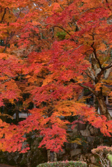 大窪寺